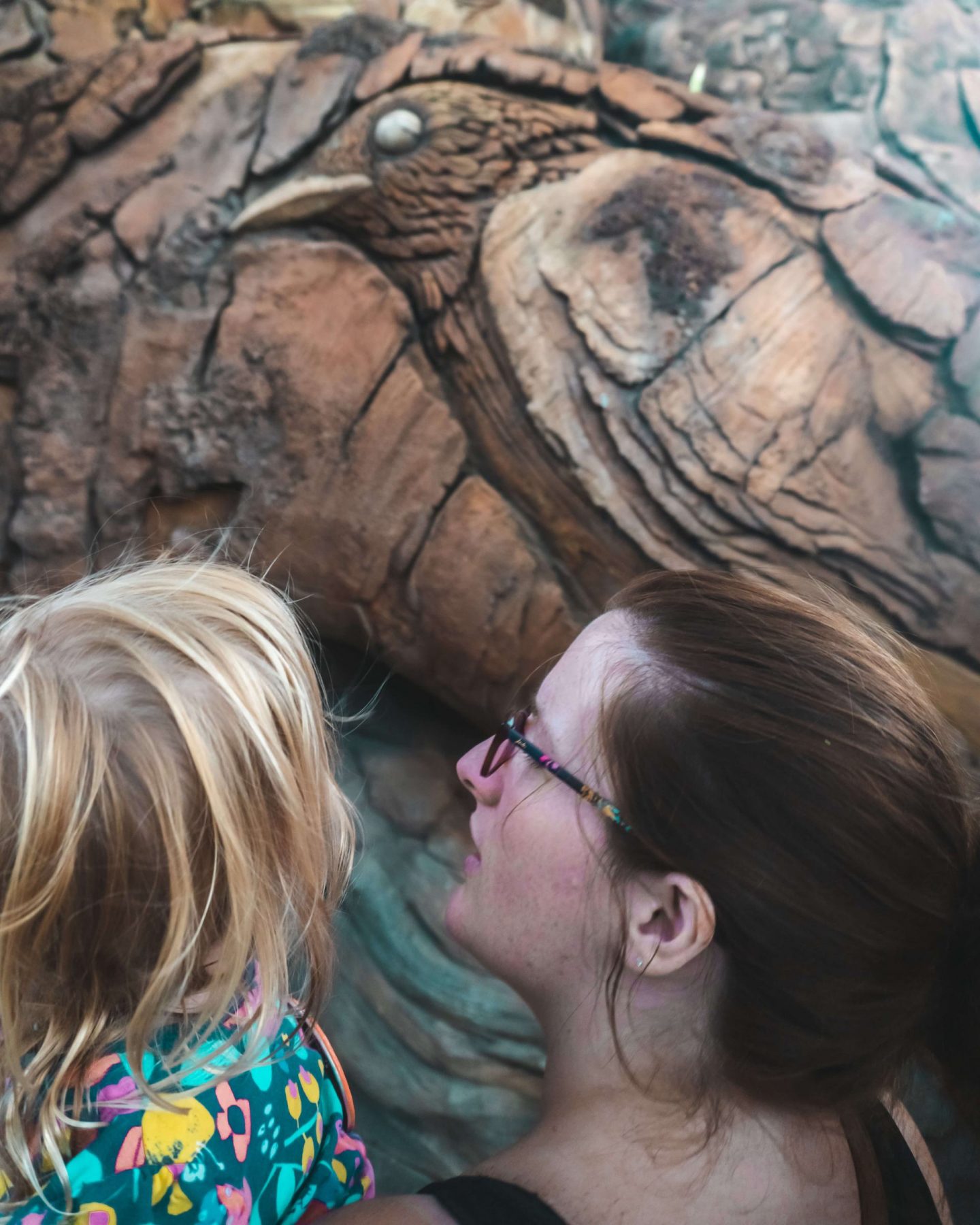 animal kingdom tree of life