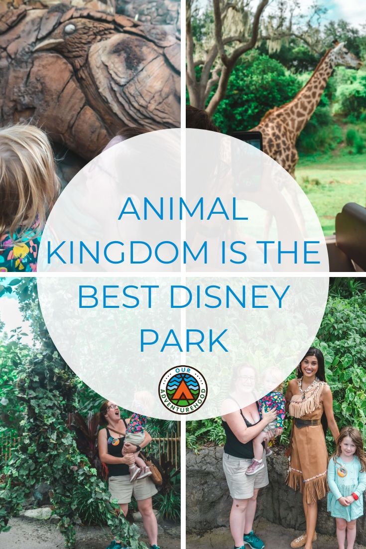 Animal Kingdom is our favourite Walt Disney World park. It has everything you want for a family day out. Find out why.